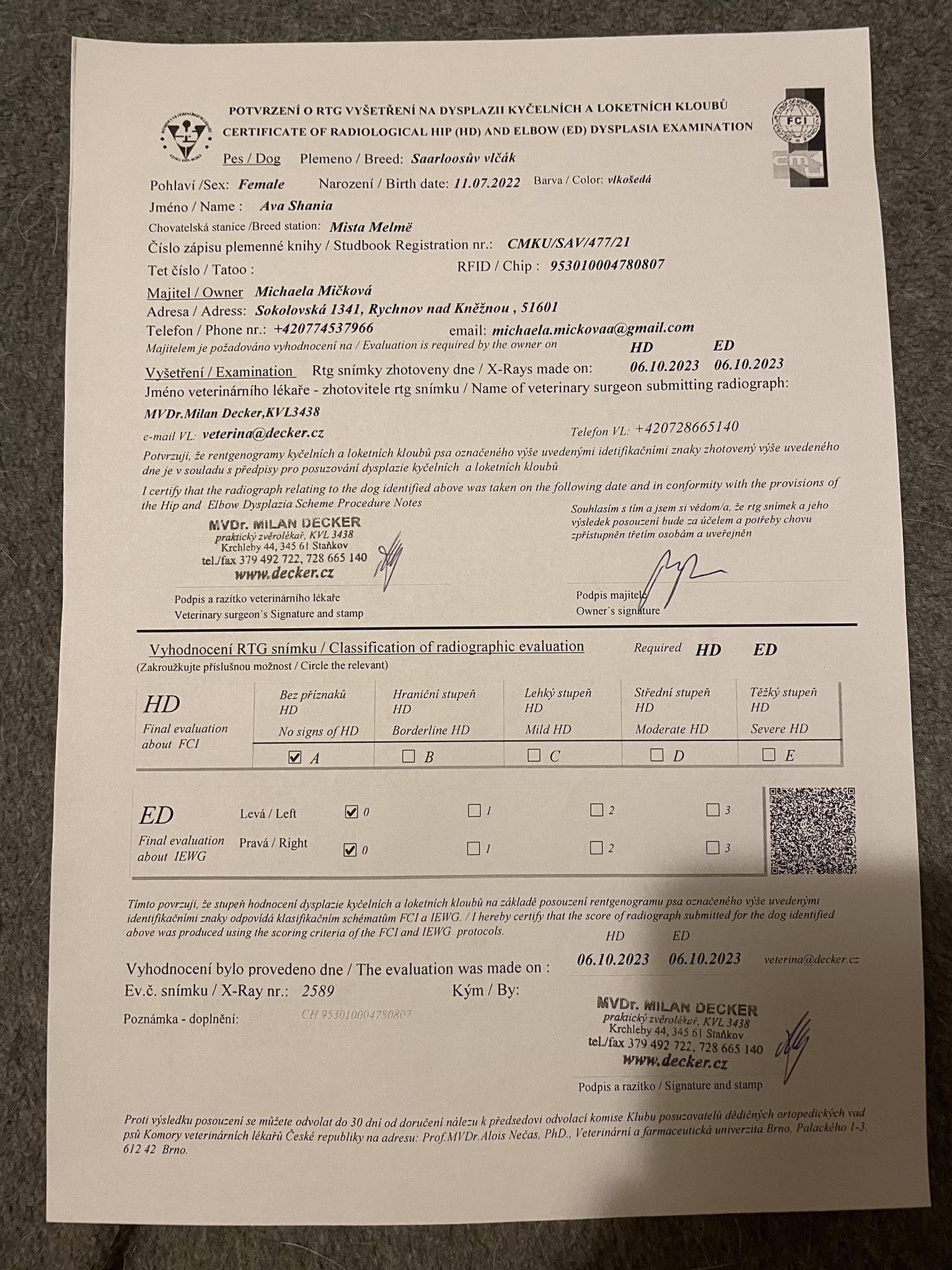 Saarloosův vlčák – Zdravotní výsledky – Ava (foto 9)