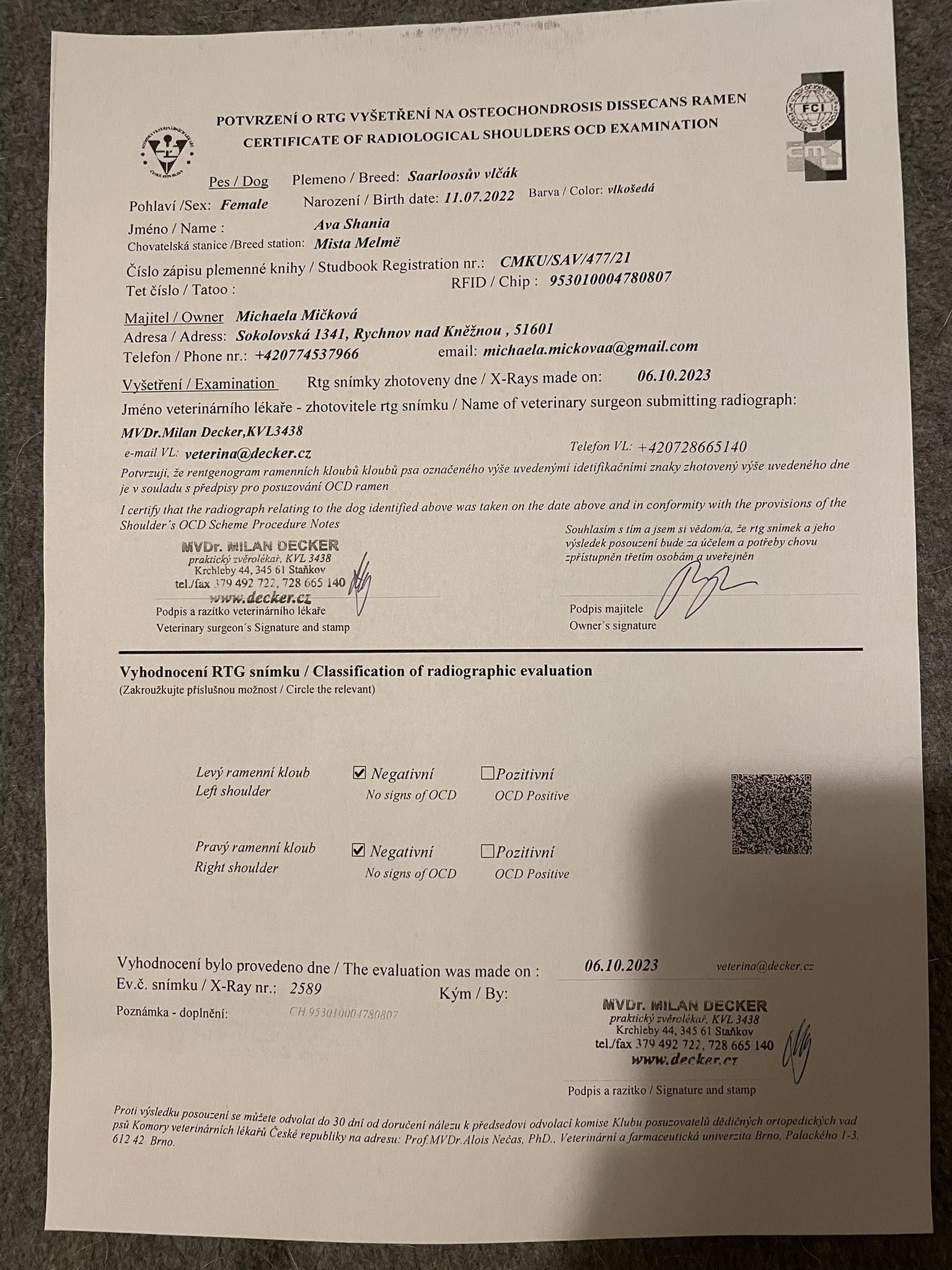 Saarloosův vlčák – Zdravotní výsledky – Ava (foto 10)