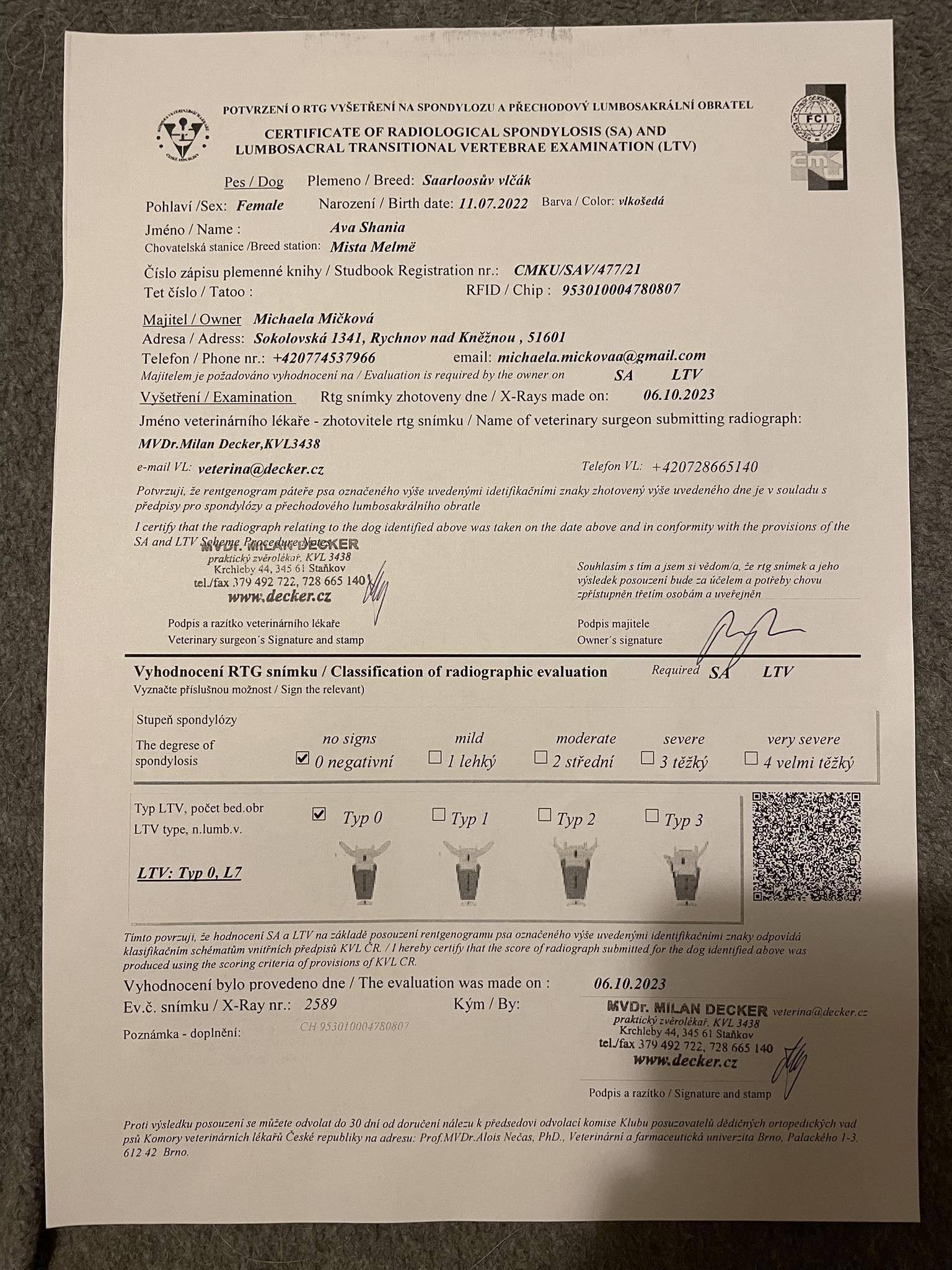 Saarloosův vlčák – Zdravotní výsledky – Ava (foto 11)