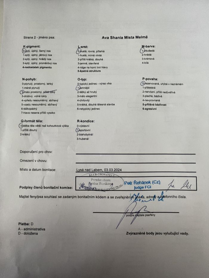 Saarloosův vlčák – Zdravotní výsledky – Ava (foto 14)